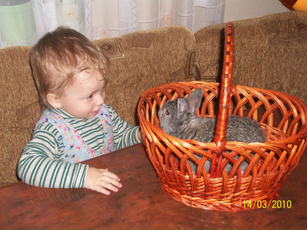 Мирослава Герасимчук | Луцк