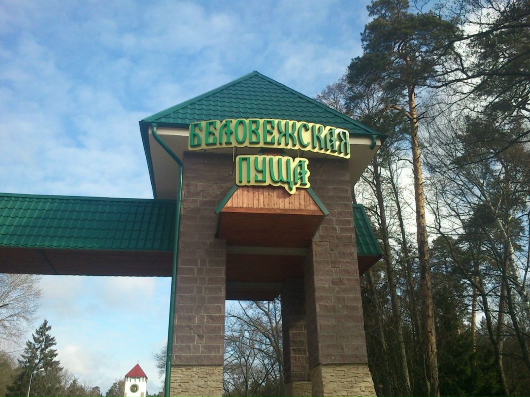 Артем Суботкевич | Кондопога