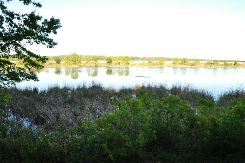 Виктория Богданова | Atlanta