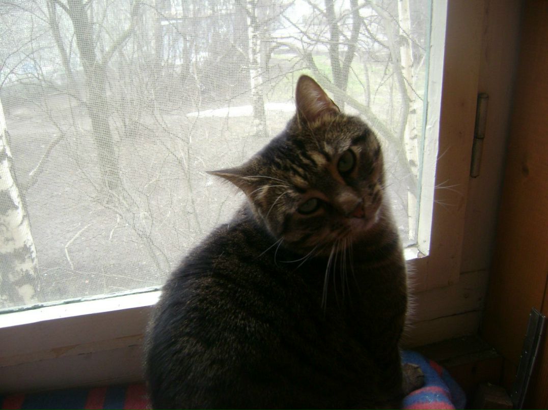 Ирина Лукина | Санкт-Петербург