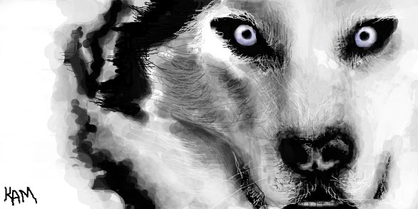 Анастасия Руснак | Волгоград