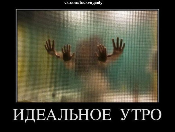 Lana Chibis | Санкт-Петербург