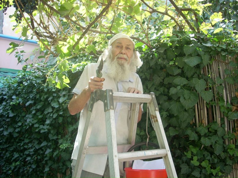 Алекса Задиракина | Красноярск