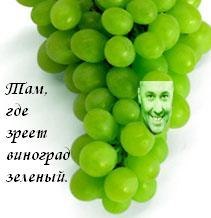 Алеся Пучко | 