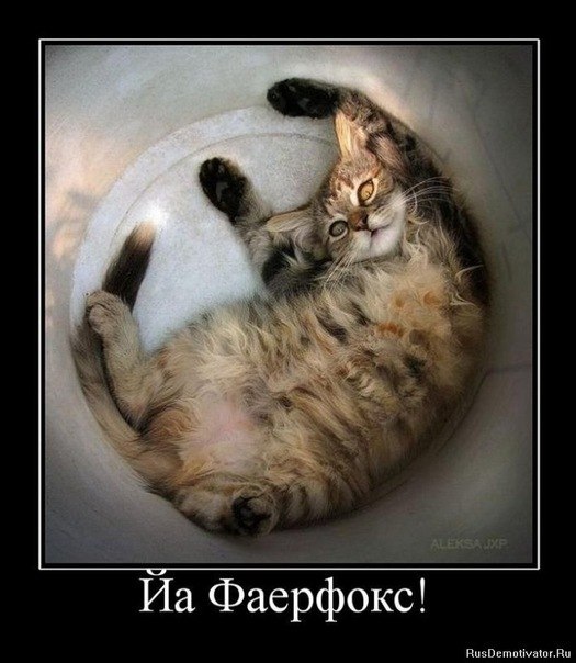 Даниил Втагин | Санкт-Петербург