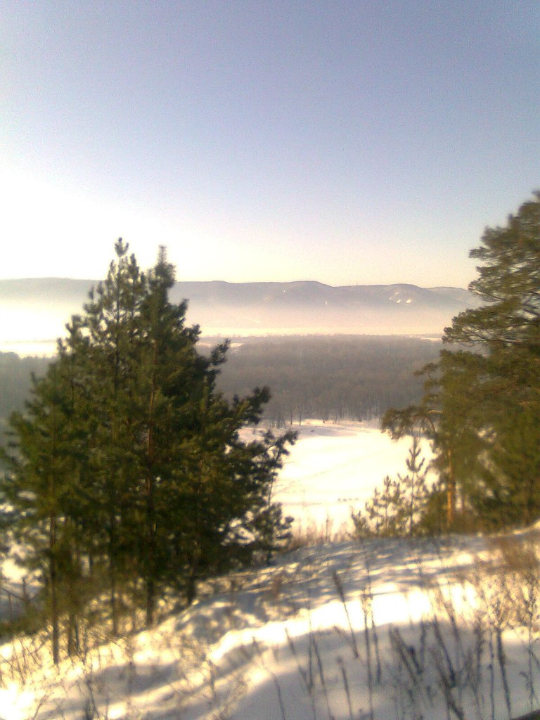 Геннадий Пальчиков | Самара