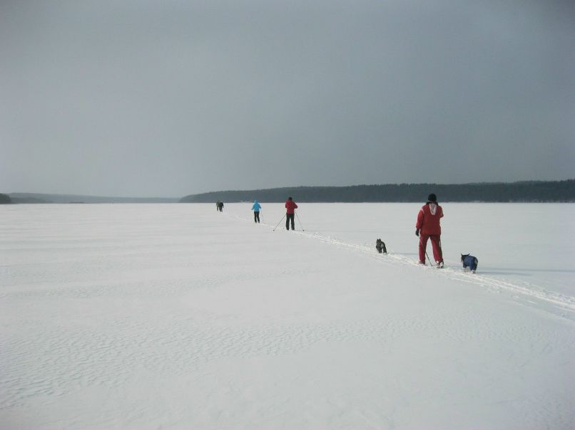 Екатерина Сергеева | Тюмень