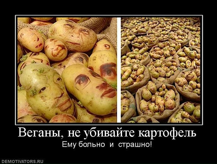 №67, Ксения Гербановская, Челябинск №67, Ксения Гербановская, Челябинск