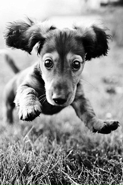 №2, Антон Пальчиков, 38 лет, Москва №2, Антон Пальчиков, 38 лет, Москва