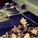 Юлия Пустовойт фотография #9