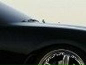 Слава Сысоев ($LAVIK$) | Санкт-Петербург