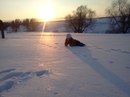 Фотография Степановой Анастасии