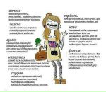 №19 Екатерина Ефимова 14.10: профиль, фото, статус - ВКонтакте