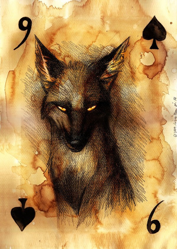 Сергей Романов | Санкт-Петербург