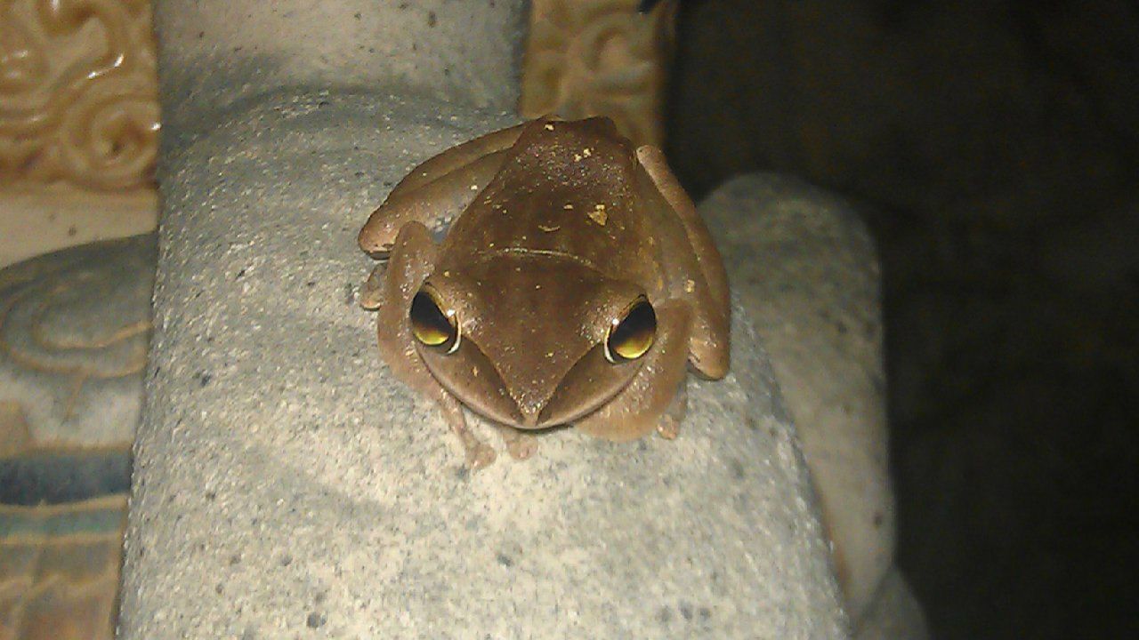 Константин Плоцкий | Екатеринбург