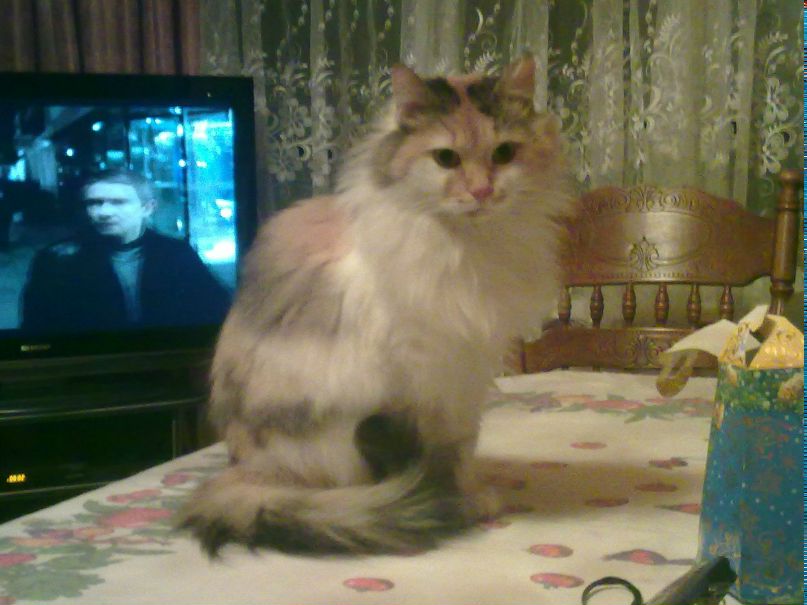 Алексей Притулкин | Москва