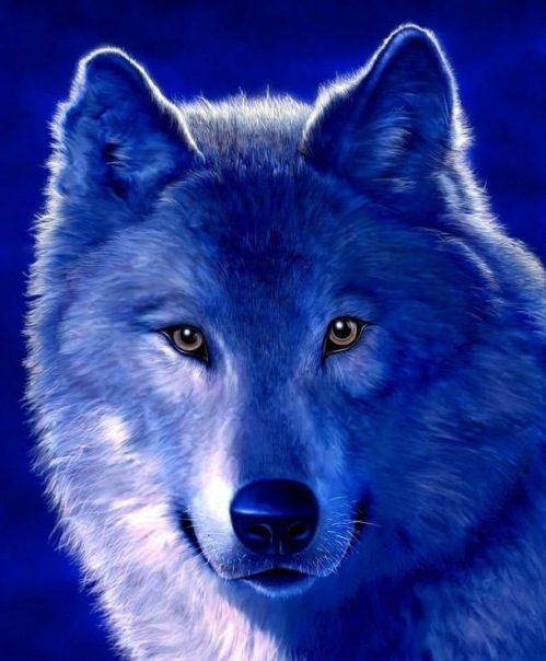 №72, Денис Чехлов, Днепр (Днепропетровск) №72, Денис Чехлов, Днепр (Днепропетровск)