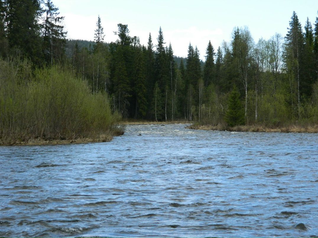 Виктор Кудрявцев | Якша