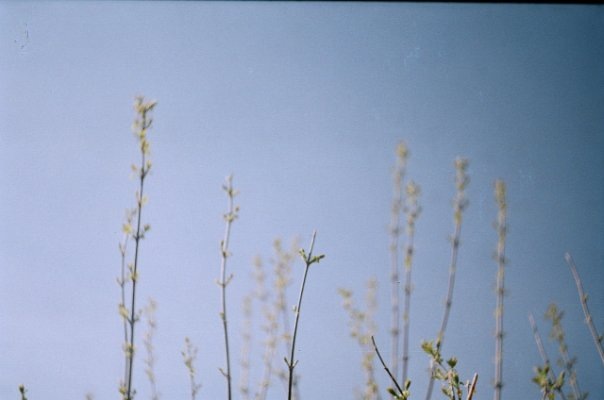 №188, Лера Торицына, 17.2.1996, Екатеринбург №188, Лера Торицына, 17.2.1996, Екатеринбург