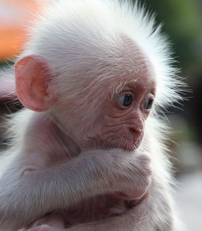 Славка Алевохин ˙·٠•●๖ۣۜIGROK™●•٠·˙ | Кемерово