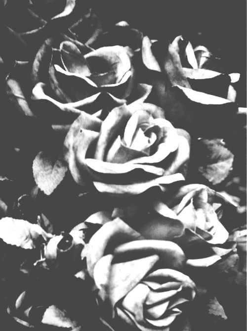 Лидия Хачатрян | Ереван