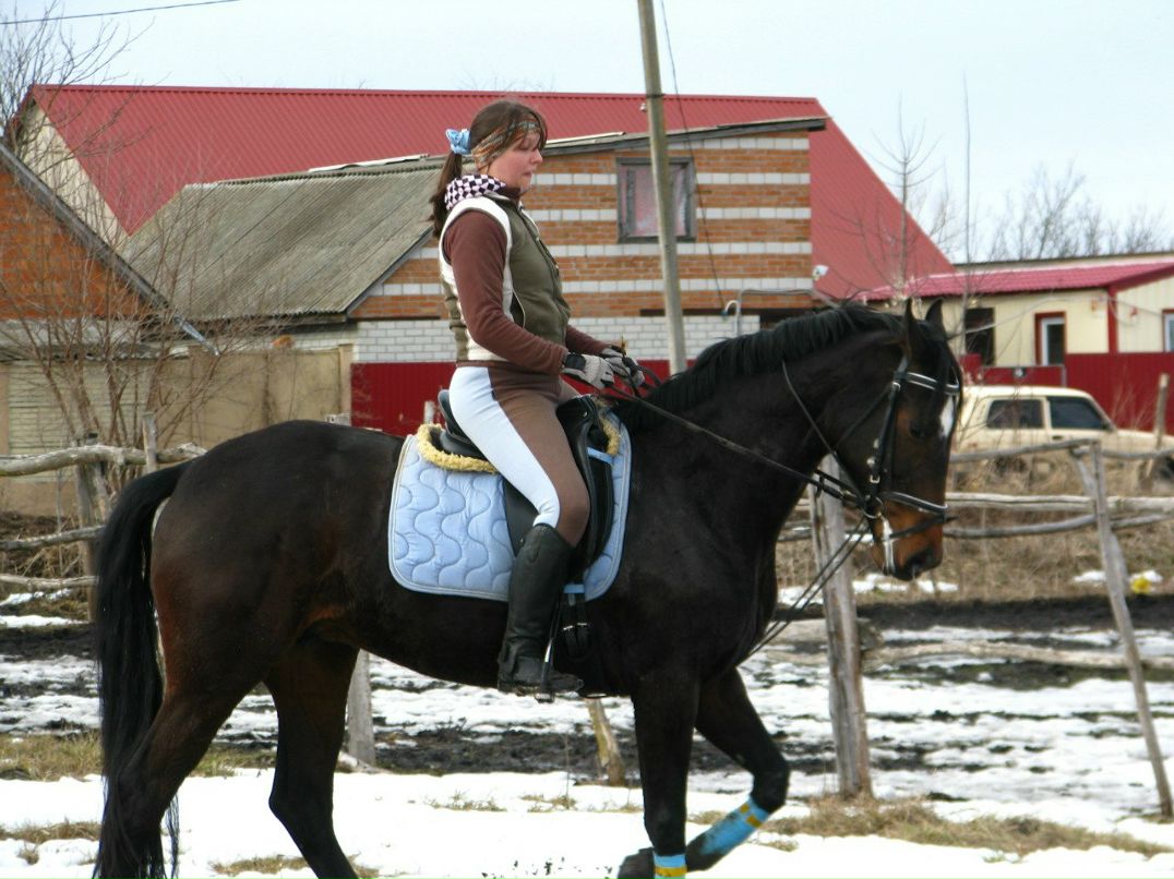 Diana Kalischuk Di-Phoenix | Киев