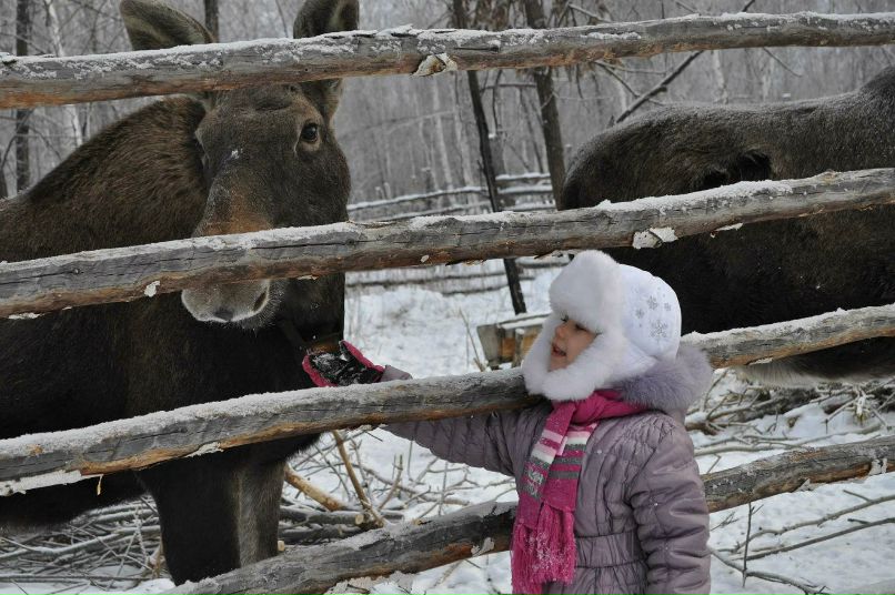 Леся Пасюк | Тюмень