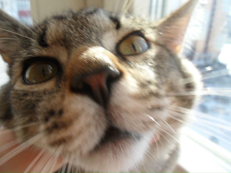 Ольга Держицкая-Бобалова Владимировна | Минск