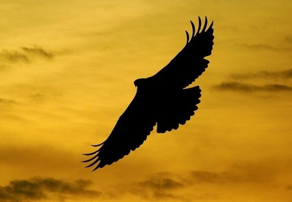 №2, Дмитрий Битюцкий, 10.7.1978, Харьков №2, Дмитрий Битюцкий, 10.7.1978, Харьков