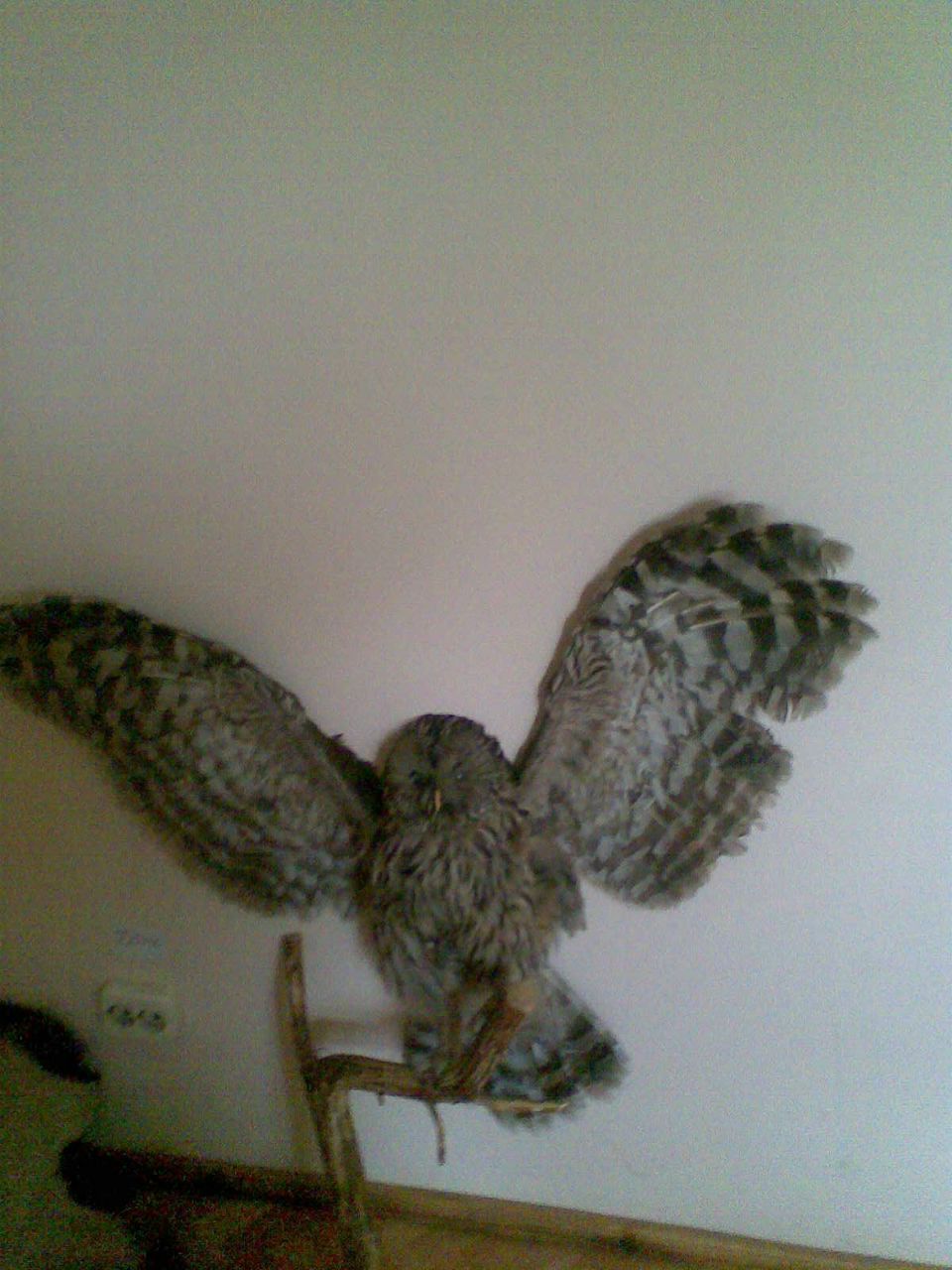 Владислав Юрдик | Одесса