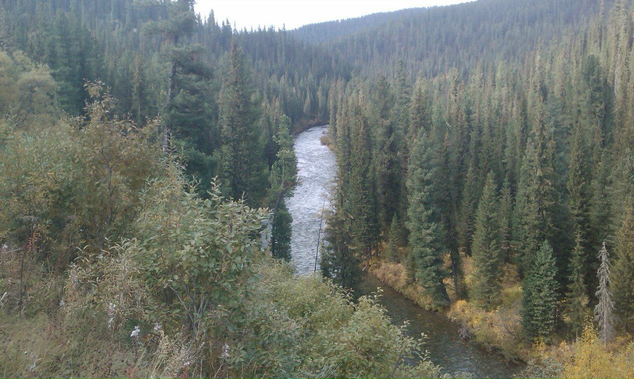 Вадим Соболевский Arharaga | Москва