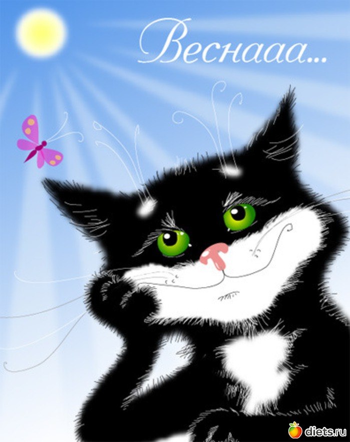 Maria Kotomkina | Петрозаводск