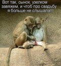 №35 Дашулька Декова : профиль, фото, статус - ВКонтакте