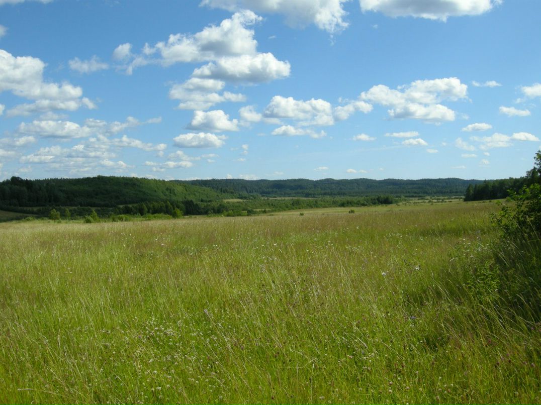 Максим Коронов | Санкт-Петербург