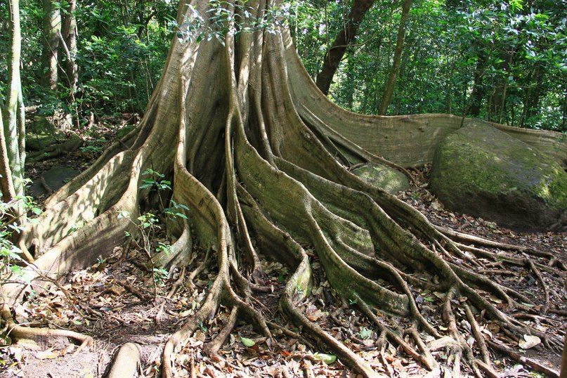 Виктория Мусина | Казань