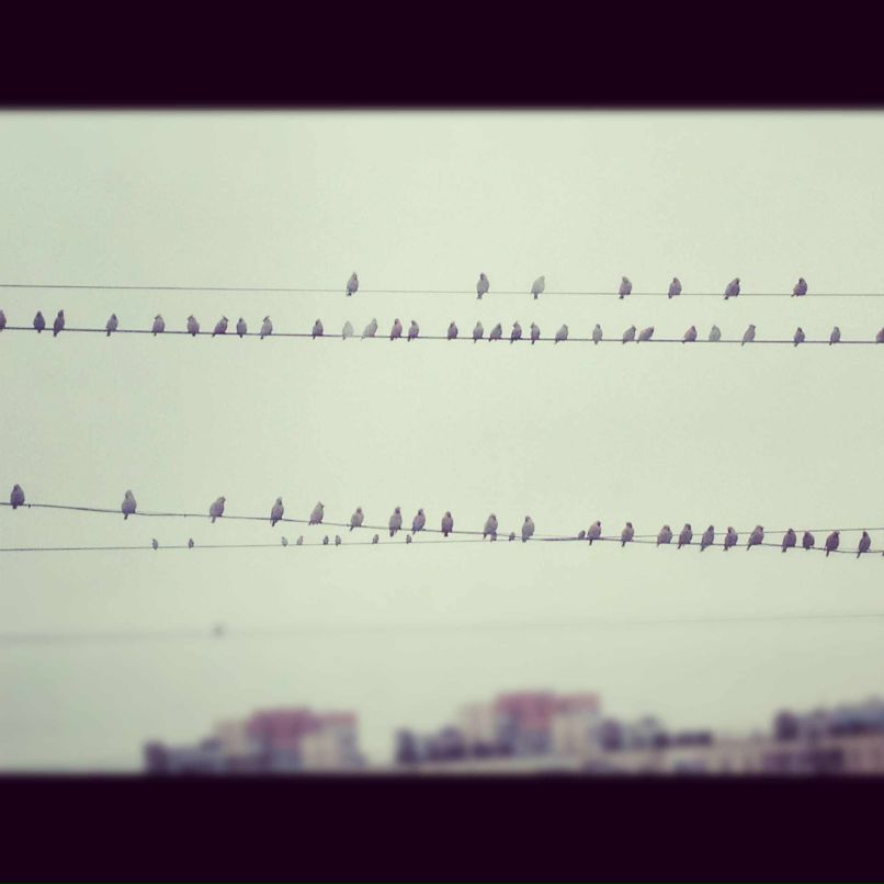 Andy Силаков | Санкт-Петербург