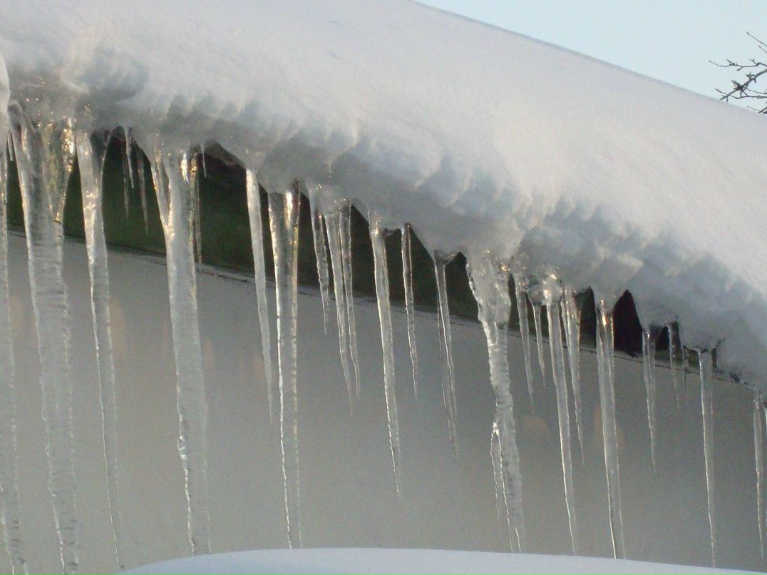 Оксана Попова | Луганск