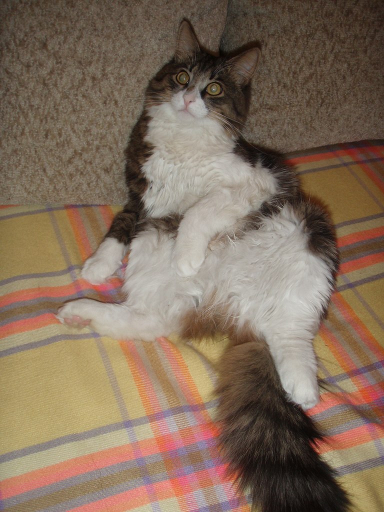 Анна Хижко | Иваново