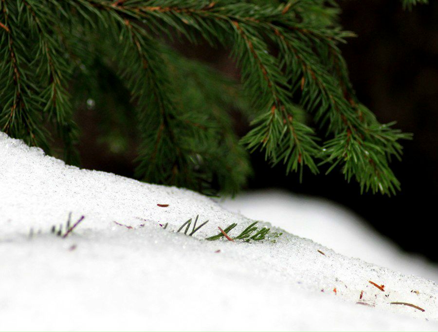 Евгения Кататцу | Москва