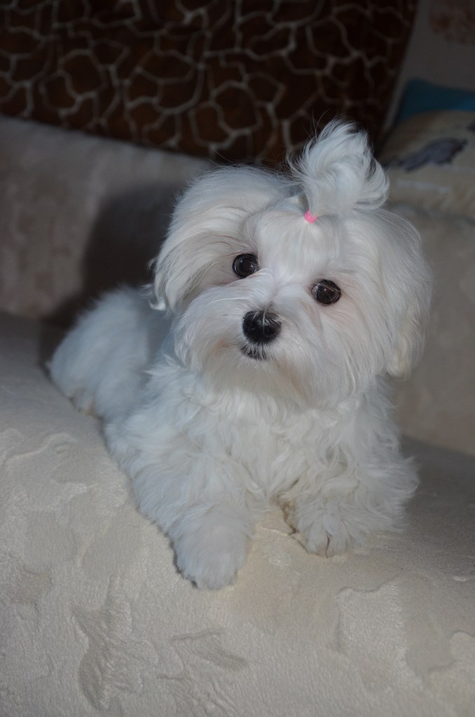 Olga Suslova | Москва