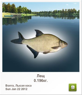 Витаха Карпов | Санкт-Петербург