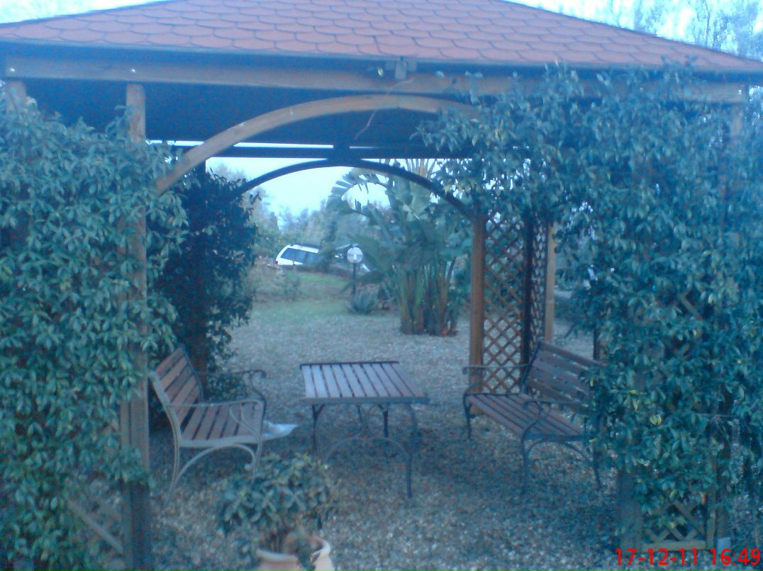 Наташа Дьячкова | Липецк