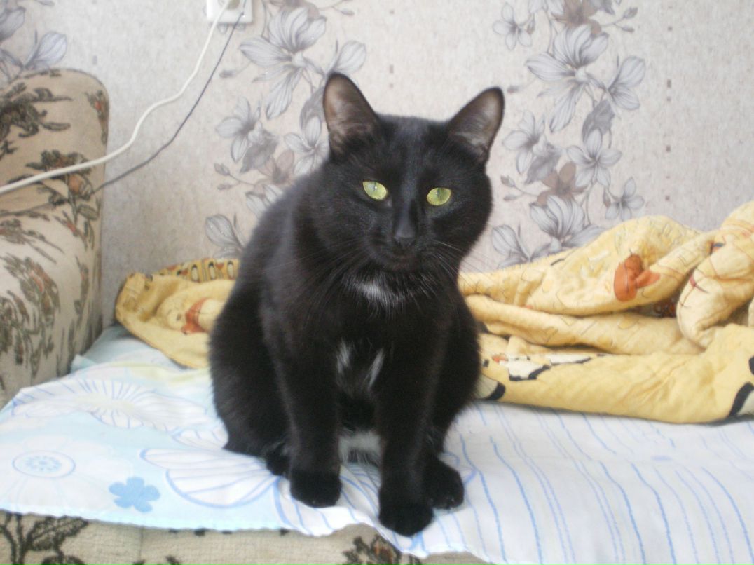 Лариса Гумерова | Уфа