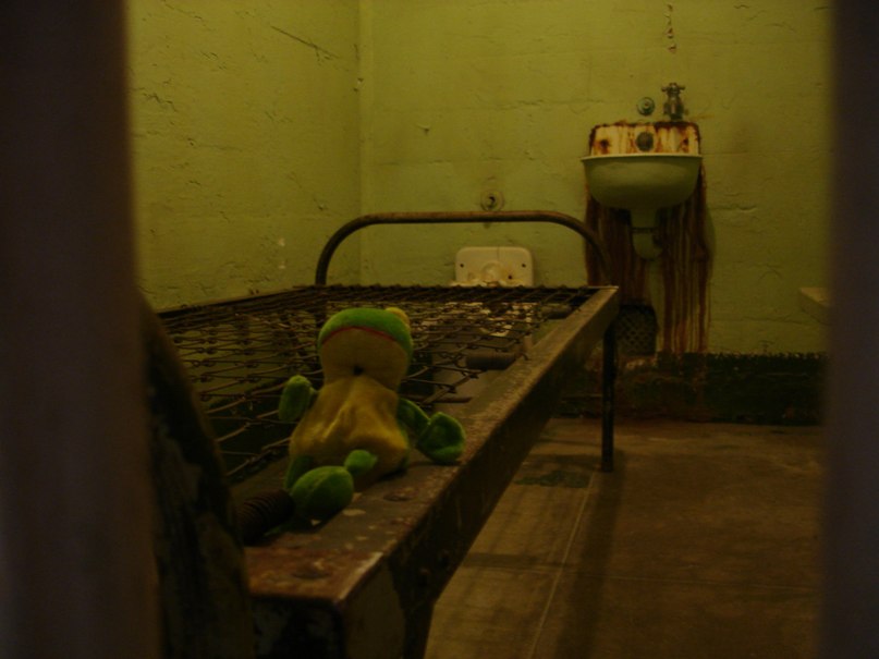 Лягуха Зырящая | Санкт-Петербург