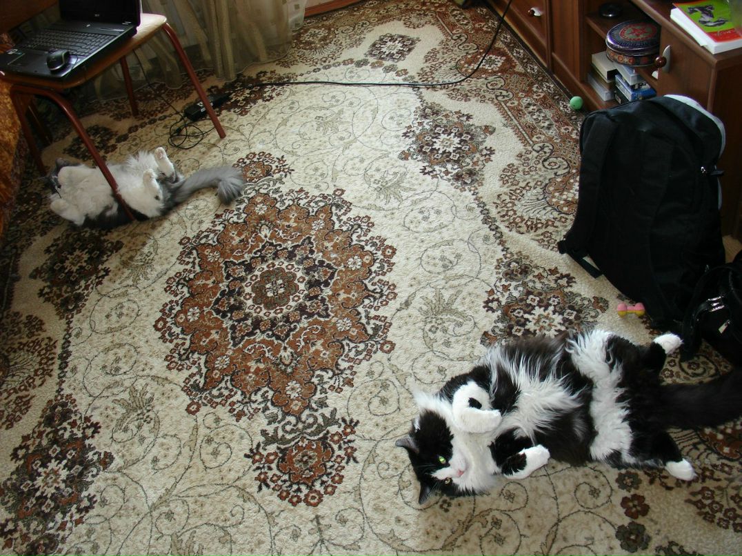 Галина Селиванова | 