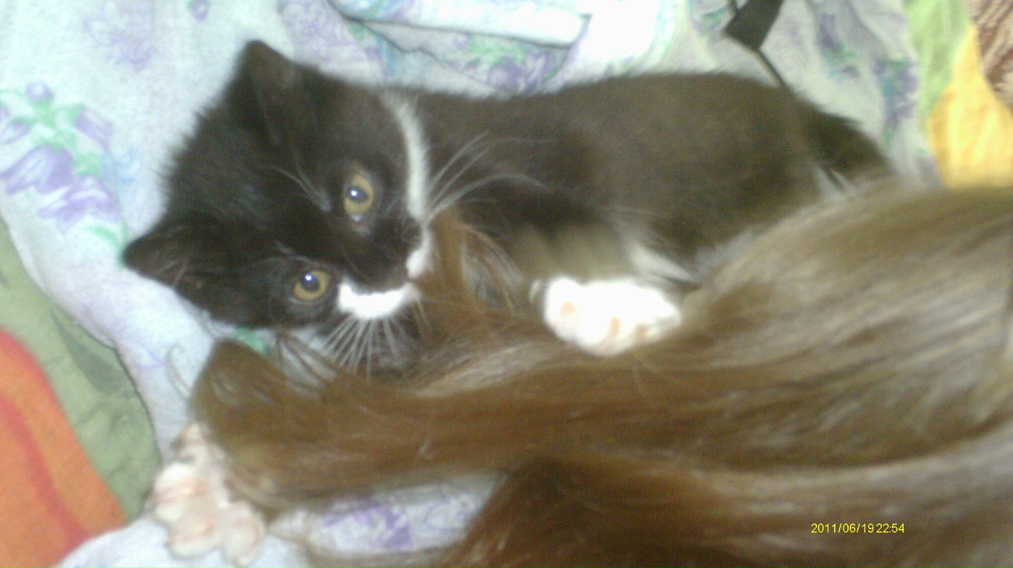 Александра Ланцова | Кондопога