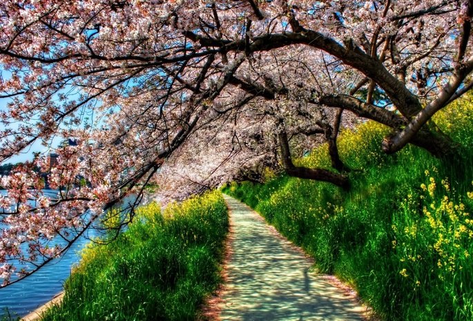 Pavel Senchenko | Киев