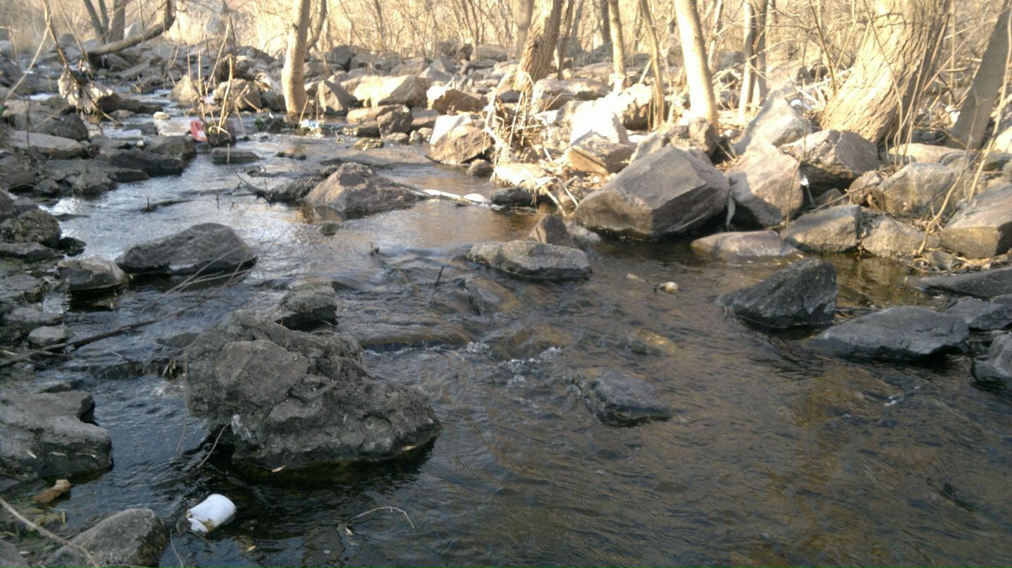 Галина Галактионова | Кривой Рог