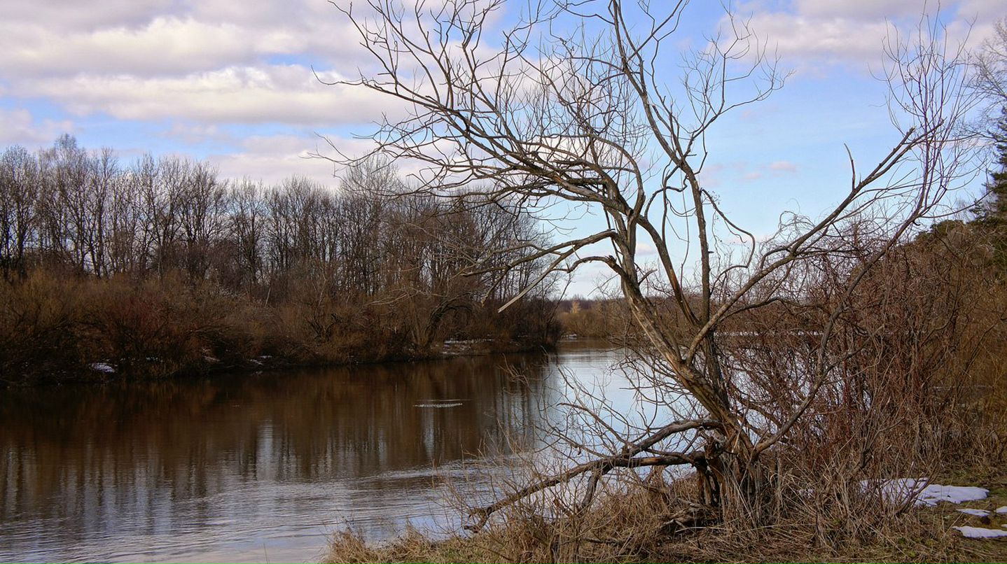 Сергей Питерский | Жуковка