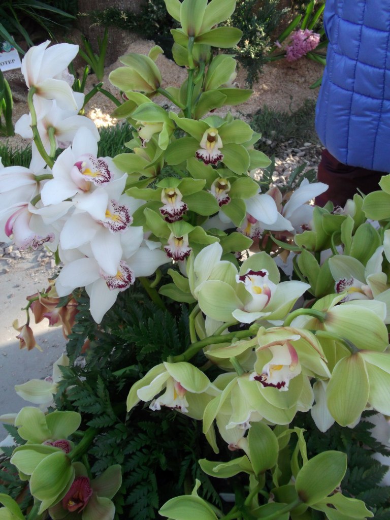 Анна Шаронова | 